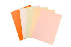 Texwipe TexBond 22 Cleanroom Bond Paper Orange A4 Cleanroom Bond Paper | Buy Online | Texwipe&trade; | Fisher Scientific